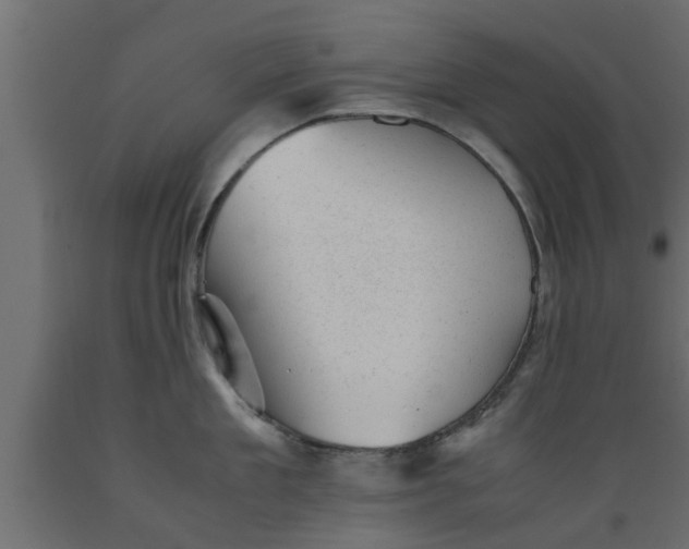 X0000089450909200707061240