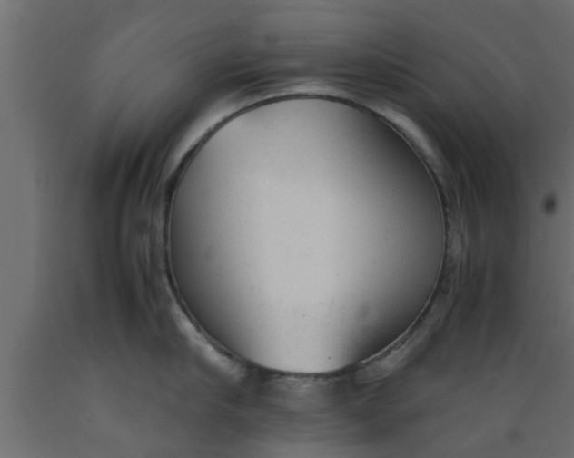 X0000089450910200707061240