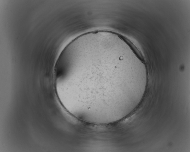 X0000089450911200707061240