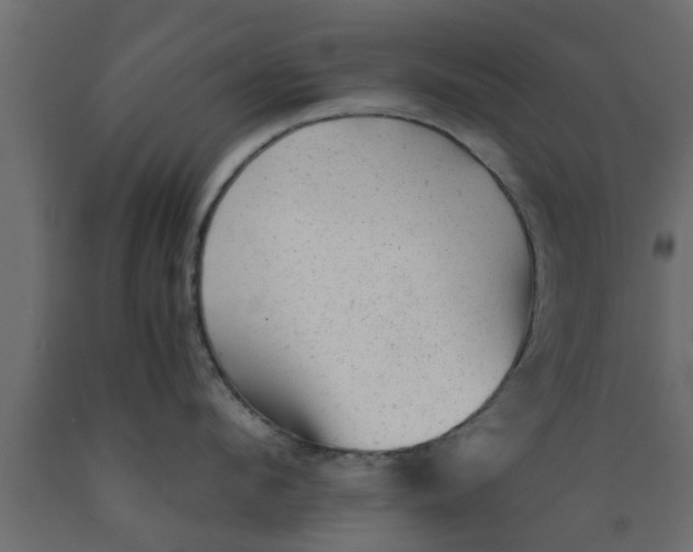 X0000089450912200707061240