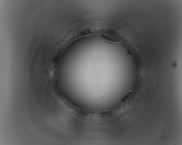 X0000089450914200707061239