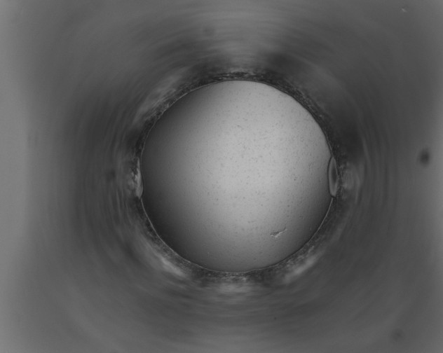 X0000089450916200707061239