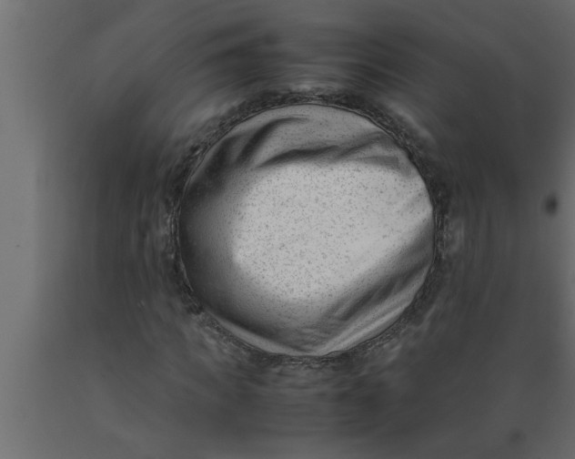 X0000089450917200707061239