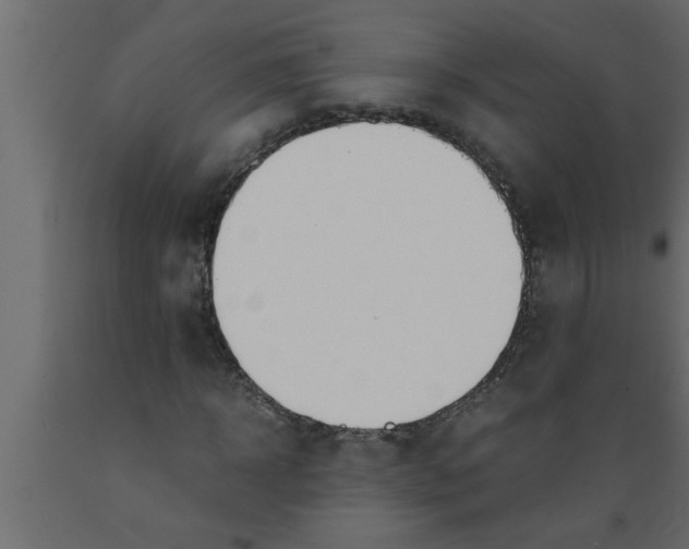 X0000089450918200707061239