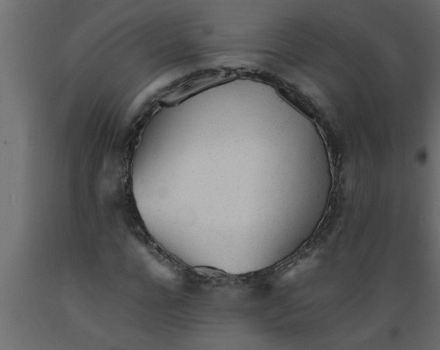 X0000089450920200707061239