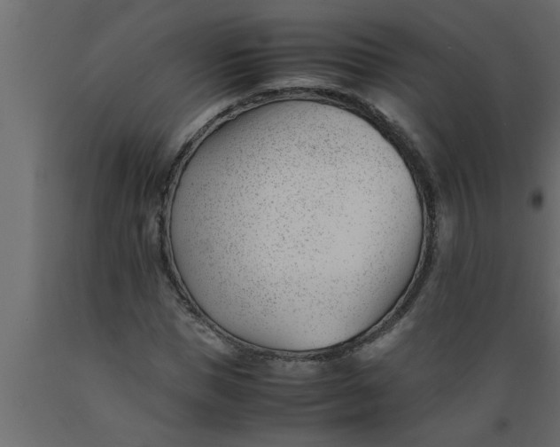 X0000089450921200707061239