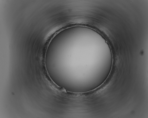 X0000089450922200707061239