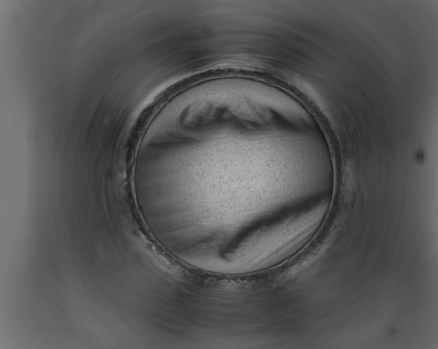 X0000089450923200707061239