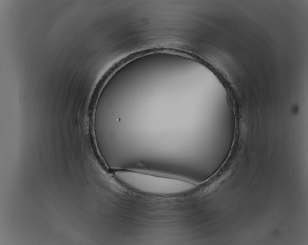 X0000089450924200707061239