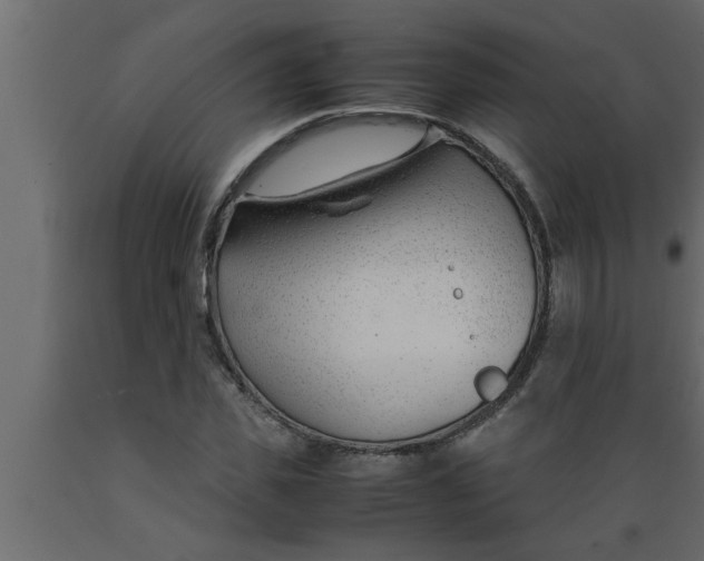 X0000089450925200707061239