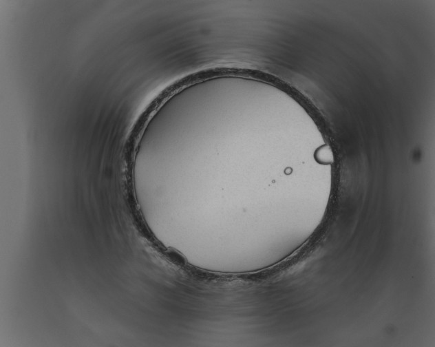 X0000089450926200707061239