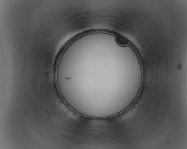 X0000089450927200707061239