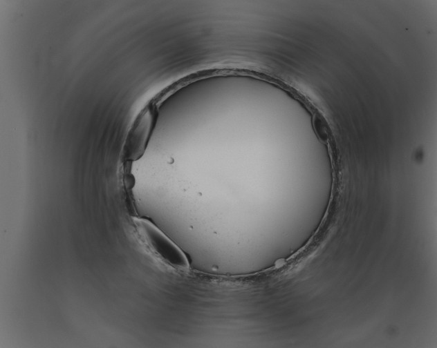 X0000089450928200707061239