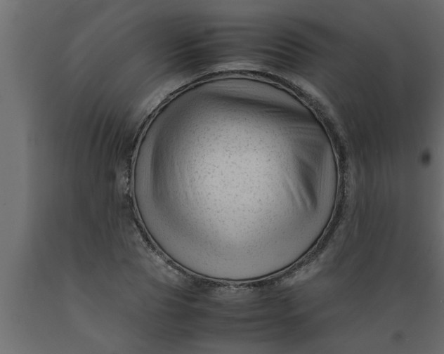 X0000089450929200707061239