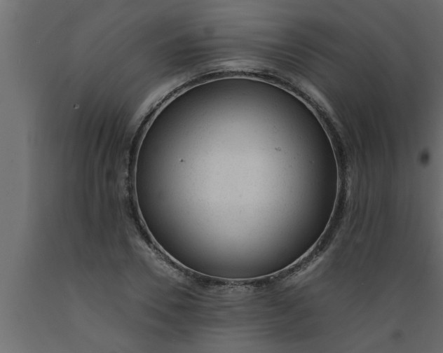 X0000089450930200707061239