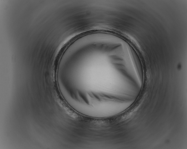 X0000089450931200707061239