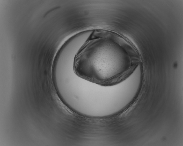 X0000089450932200707061239