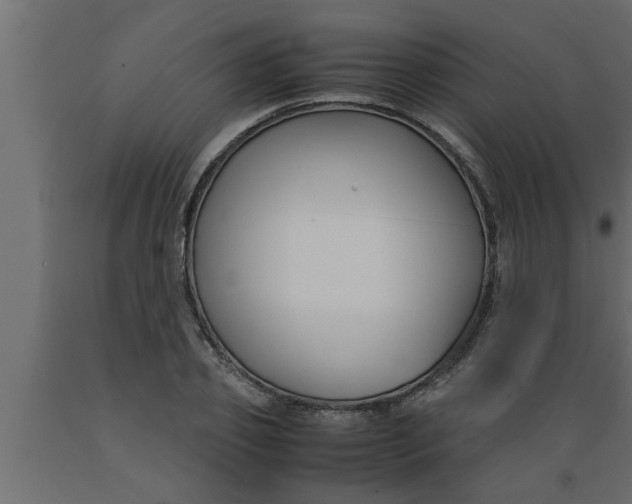 X0000089450933200707061239