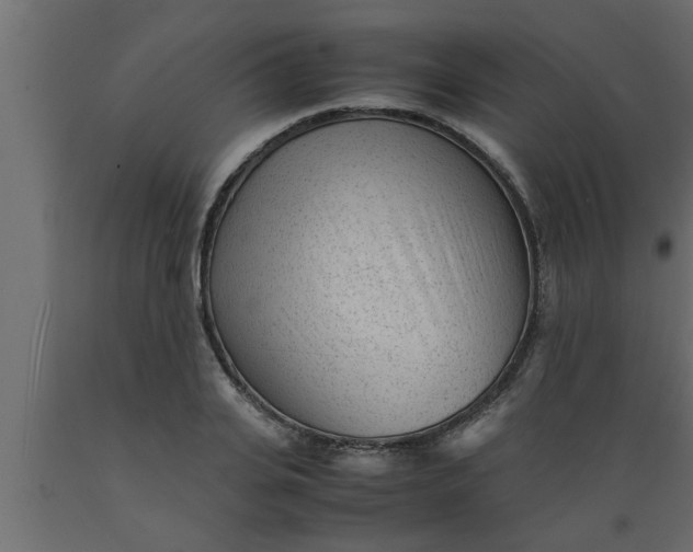 X0000089450935200707061240