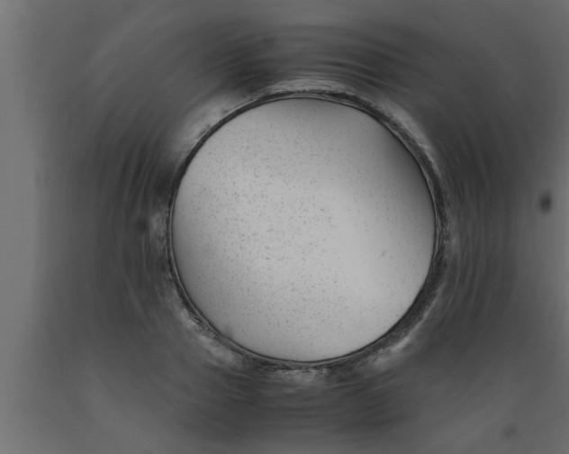 X0000089450937200707061240