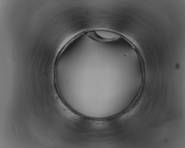 X0000089450941200707061240