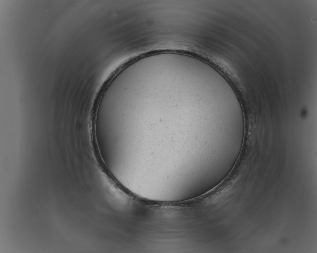 X0000089450942200707061240