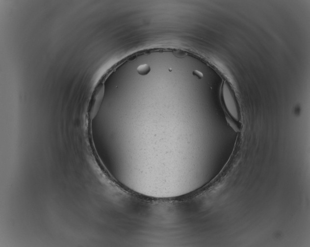 X0000089450944200707061240