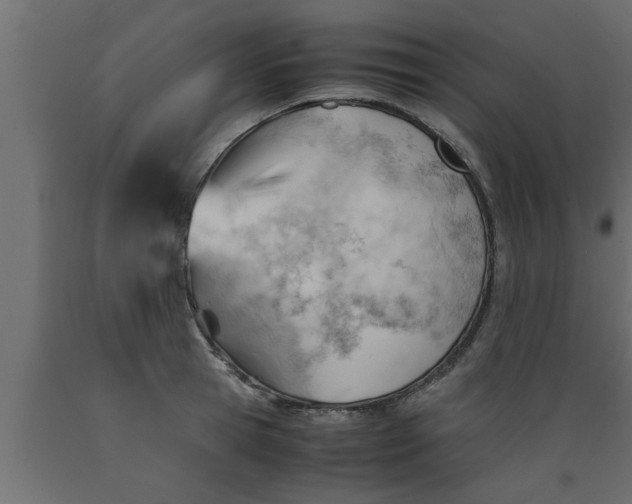 X0000089450945200707061240