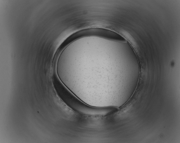 X0000089450948200707061240