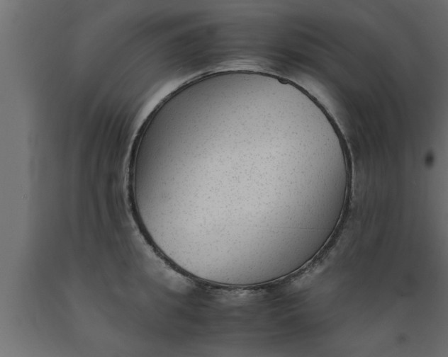 X0000089450949200707061240