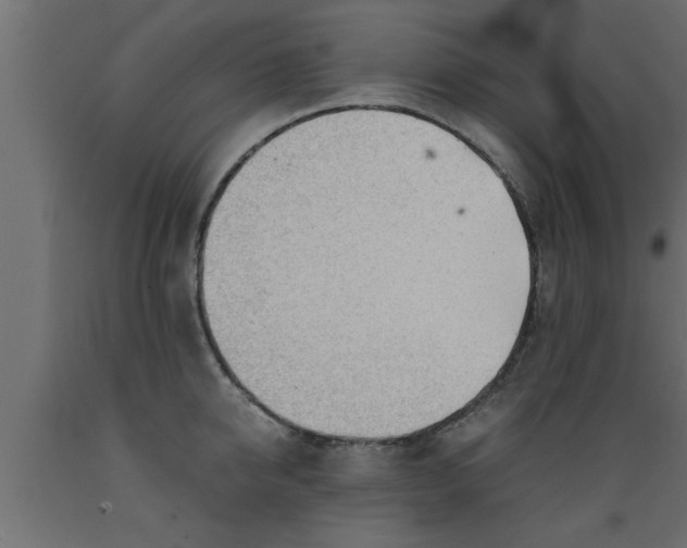 X0000089450950200707061240