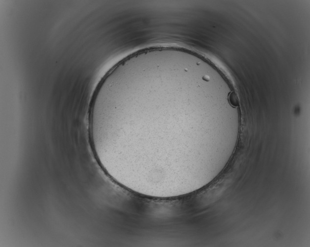 X0000089450951200707061240