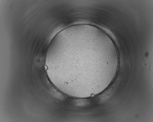 X0000089450953200707061240