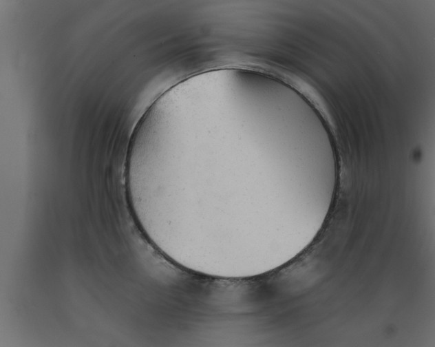 X0000089450954200707061240