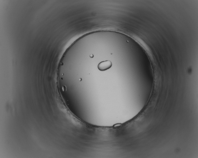 X0000089450956200707061240