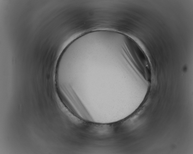 X0000089450957200707061240