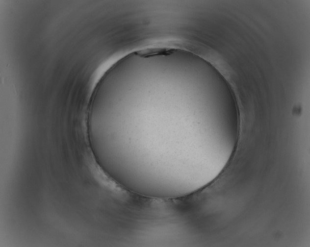 X0000089450960200707061240