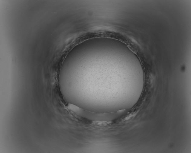 X0000089450965200707061239