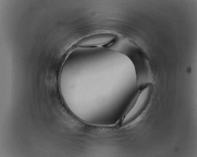 X0000089450969200707061239