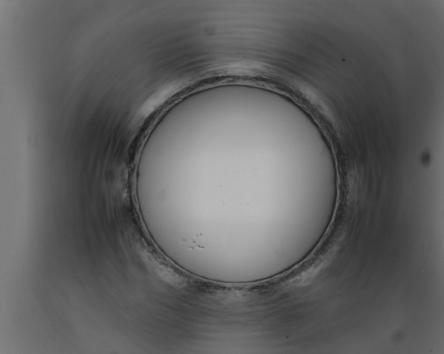 X0000089450970200707061239