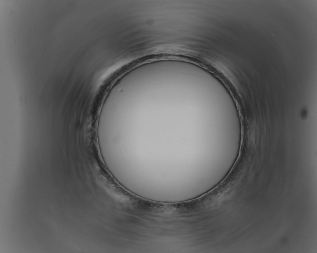 X0000089450971200707061239