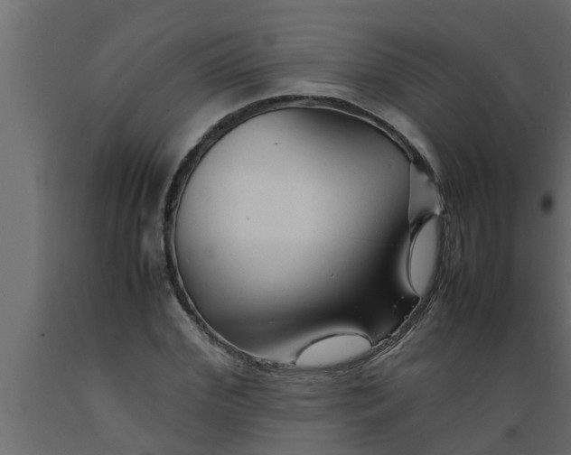 X0000089450972200707061239