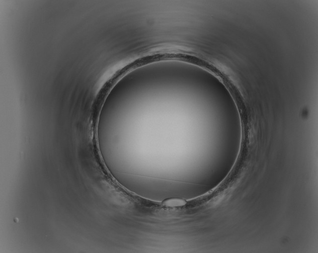 X0000089450973200707061239