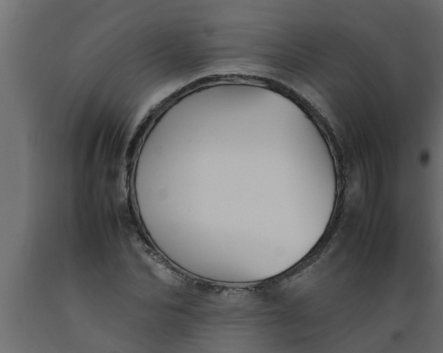 X0000089450974200707061239