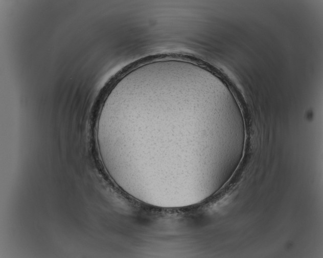 X0000089450975200707061239