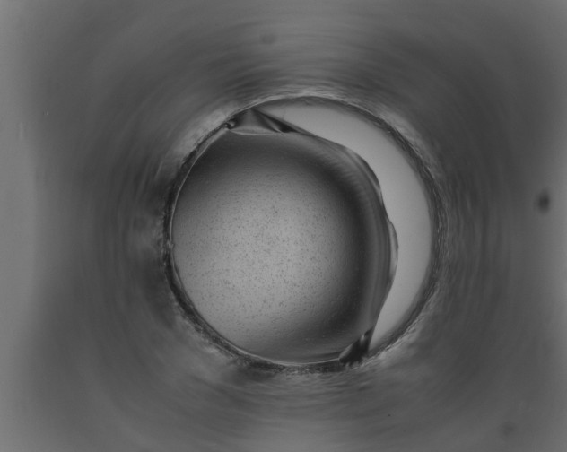 X0000089450977200707061239