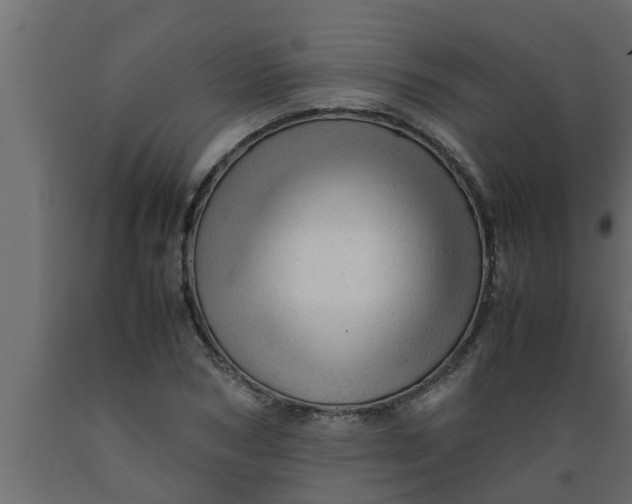 X0000089450978200707061239