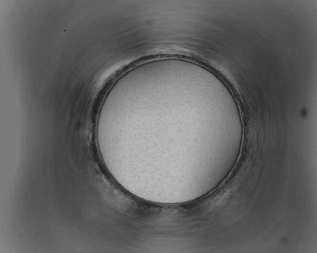 X0000089450979200707061239