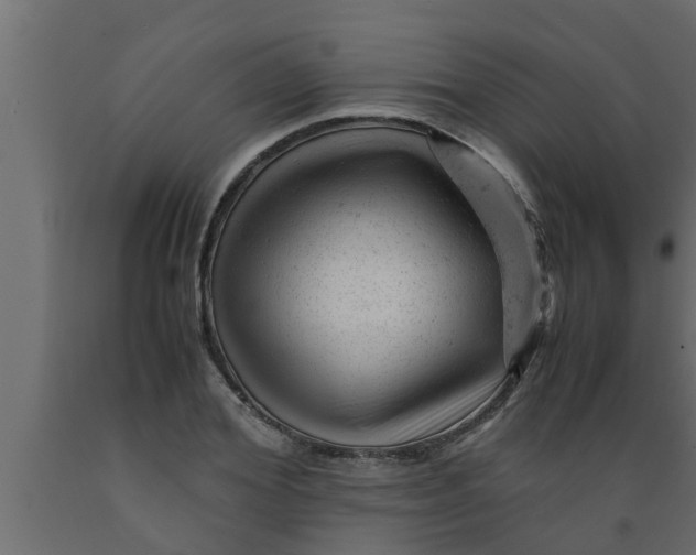 X0000089450980200707061239