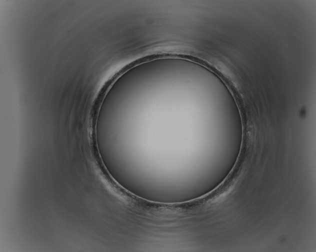 X0000089450981200707061239